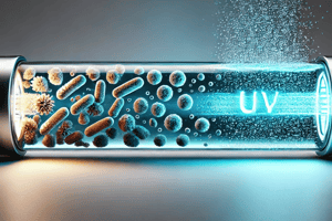 UV-light-kills-bacteria
