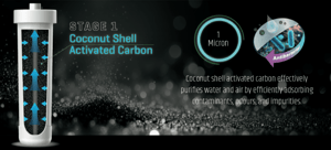 Stage 1 — Auto Digital Backflush