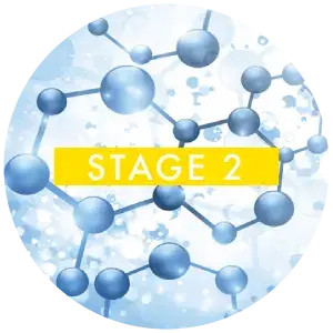 stage-2-metals